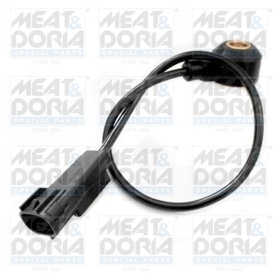 Knock Sensor